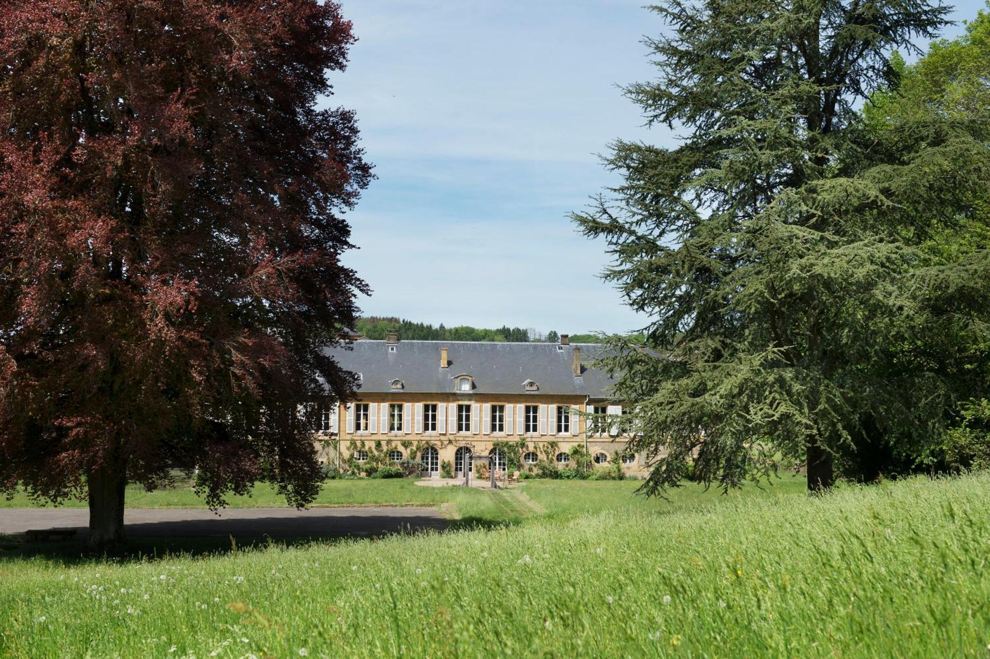 Chateau De Martigny Bed and Breakfast Colmey Eksteriør billede