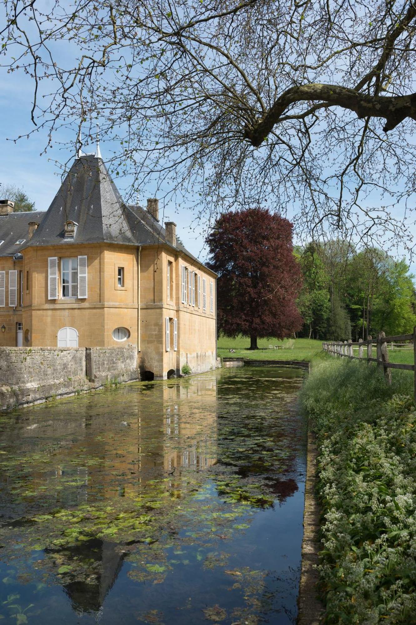 Chateau De Martigny Colmey Eksteriør billede
